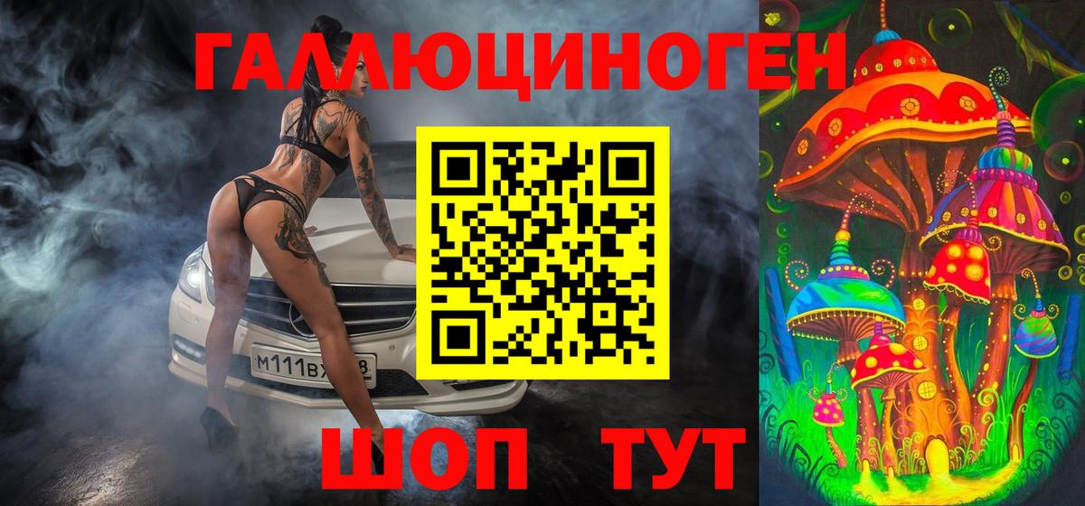 Галлюциногенные грибы Psilocybe Уссурийск